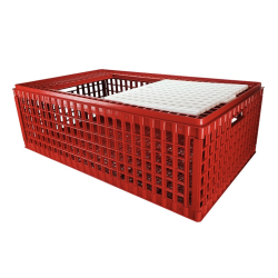 Přepravní box na drůbež B1 – 1 dvířka, 95,5x57x32,5 cm